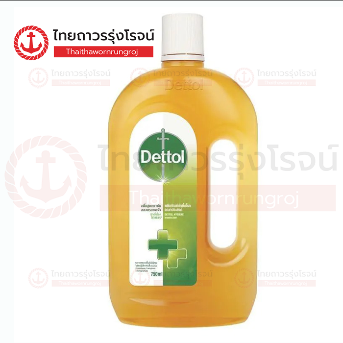 DETTOL ไฮยีน น้ำยาฆ่าเชื้อโรค 750ml