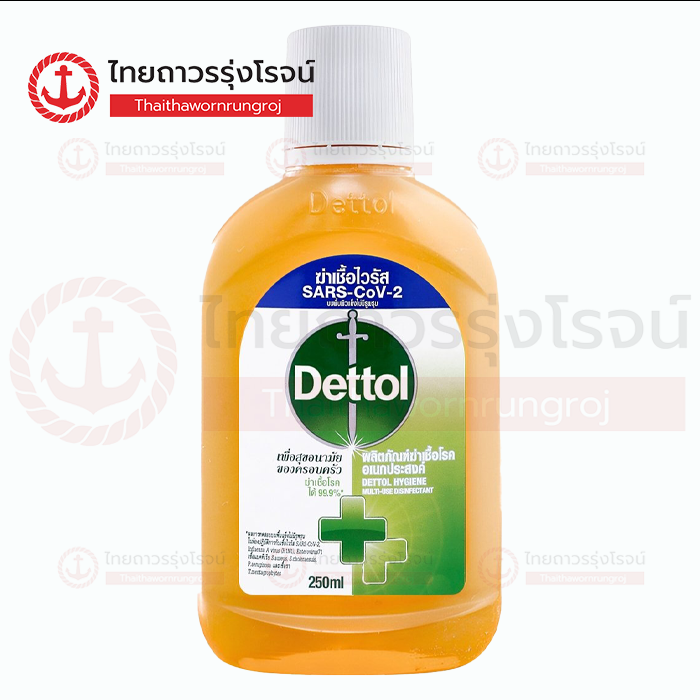 DETTOL ไฮยีน น้ำยาฆ่าเชื้อโรค 250ml